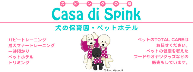 カサデスピンク スピンクの家