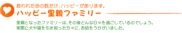 �n�b�s�[���e�t�@�~���[