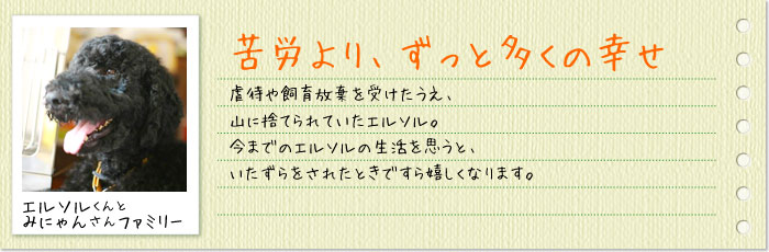 エルソルくんとみにゃんさんファミリー